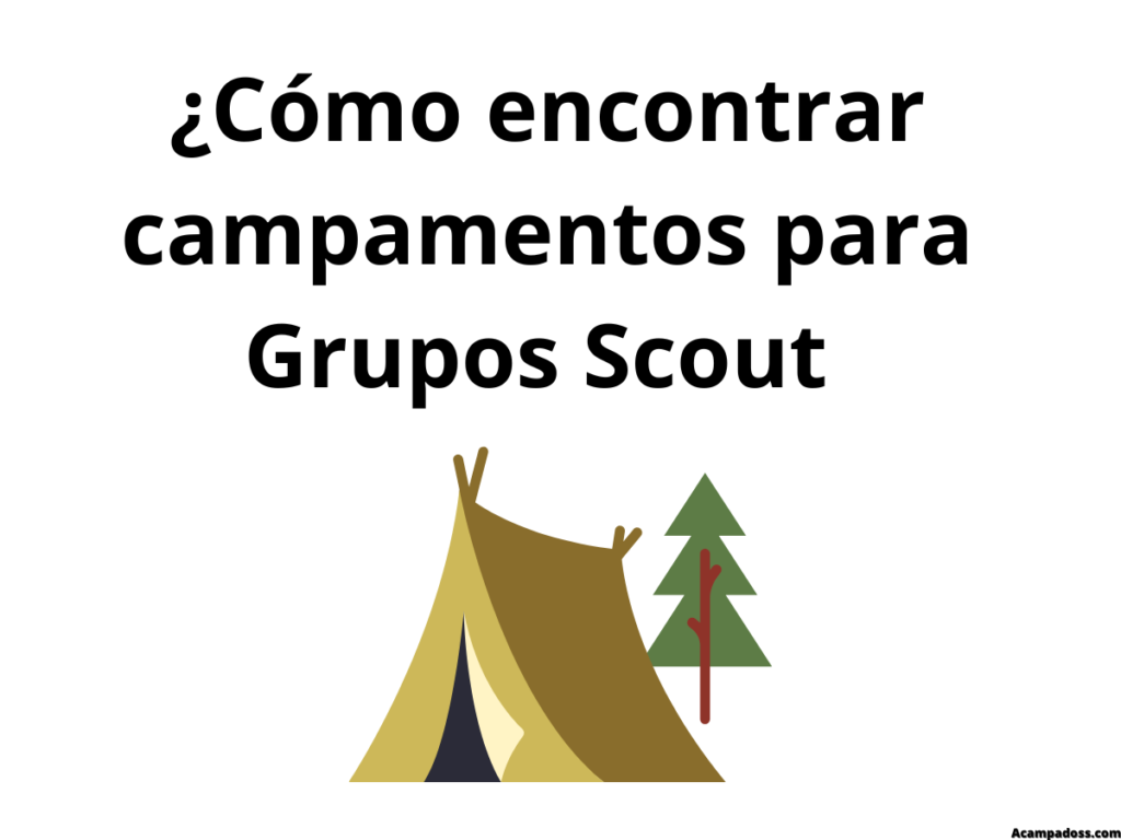 Cómo Encontrar Un Campamento Para Scouts Acampadoss